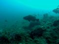 FILE0073