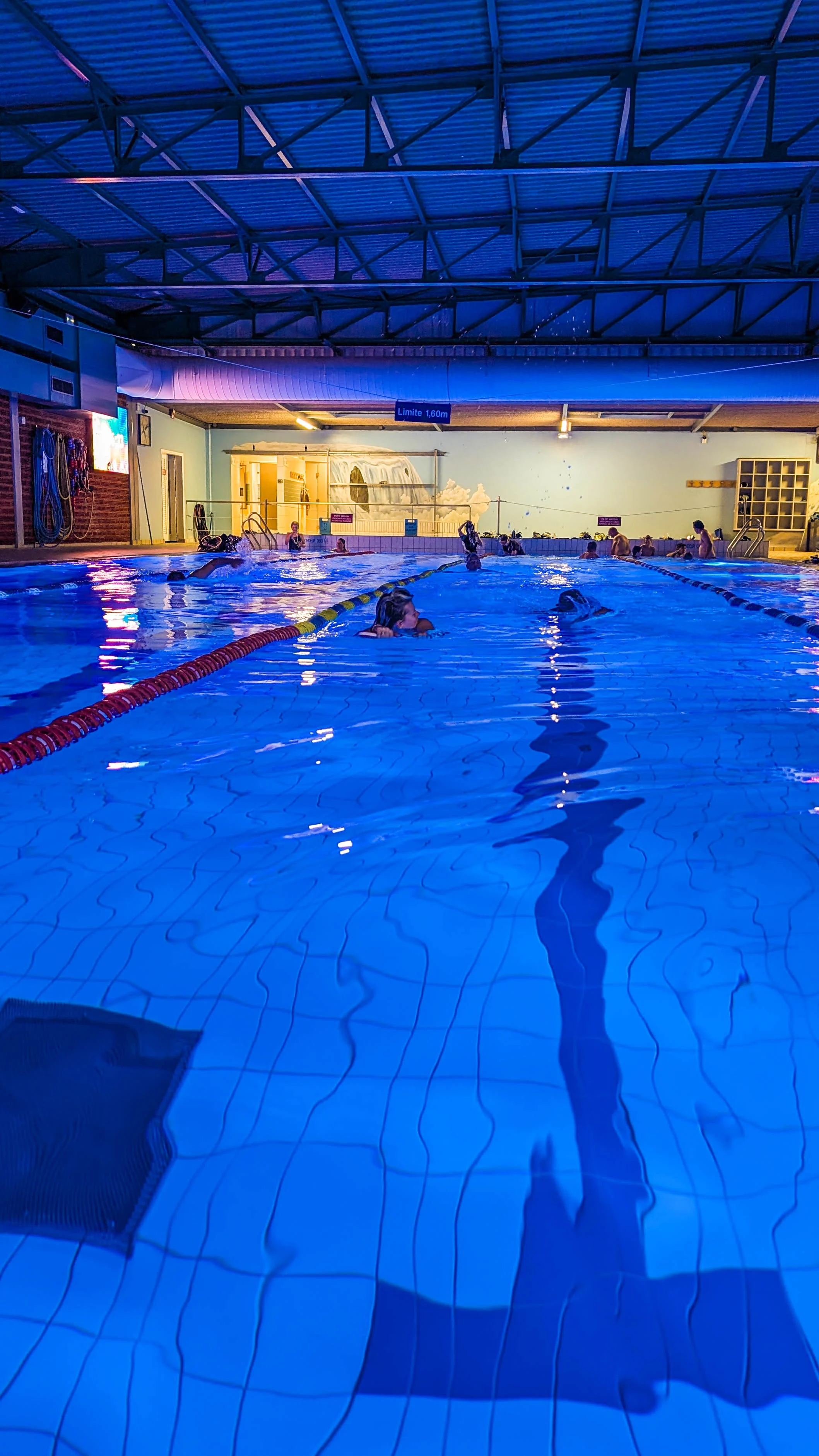 Reprise Piscine 15