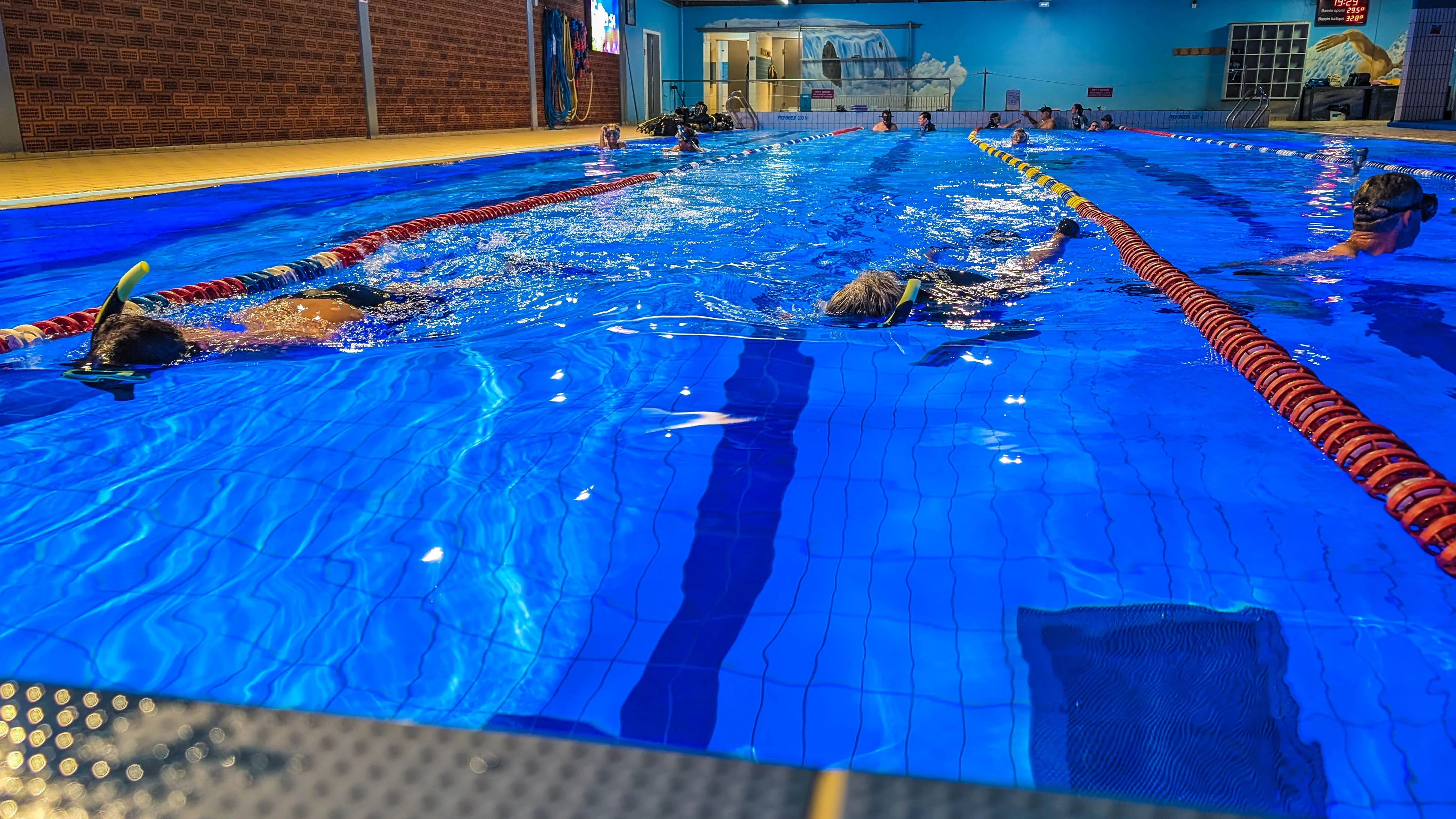 Reprise Piscine 31